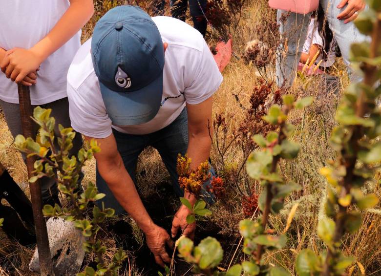 El Festival Internacional de Cine ‘El Cine Suma Paz’, promueve el cuidado del agua y el cuidado de los páramos. Foto cortesía Colprensa/Festival Internacional de Cine de Sumapaz.