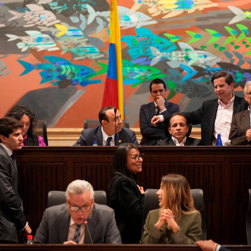 Esta semana hubo un duro debate sobre el monto del presupuesto 2025, pero finalmente no se aprobó nada. Ahora, senadores y representantes transitan un camino incierto. FOTO COLPRENSA