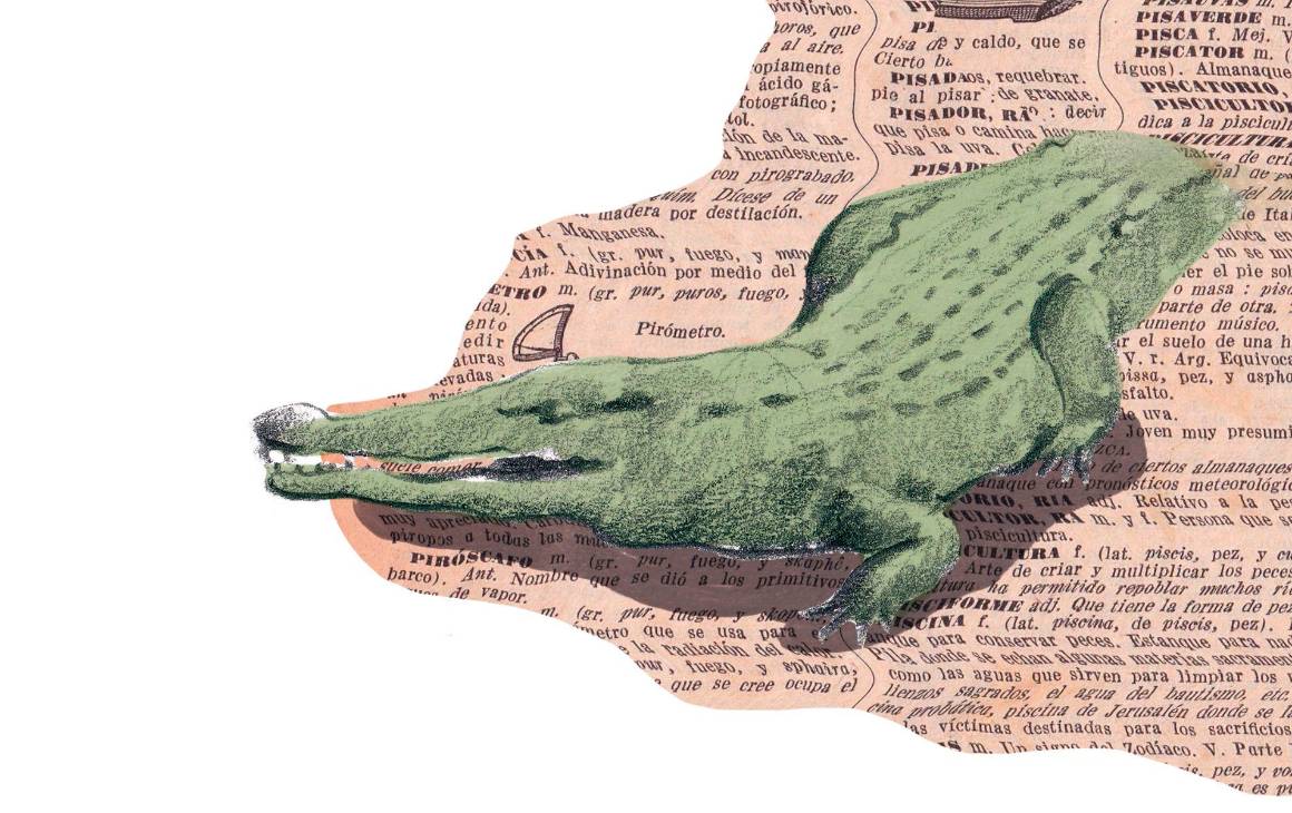 Los cocodrilos son de los grandes peligros de los ñus. Ilustración Laura Ospina
