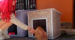 La fundación de Medellín que construye casas para animales sin hogar