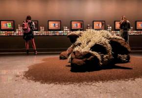 Arte en Medellín: más visitantes y menos apoyo