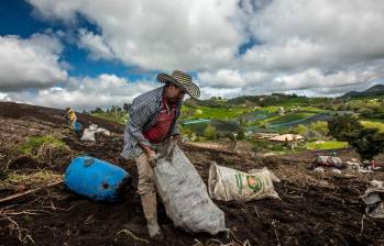 La iniciativa da desarrollo a otras normas ya aprobadas por el Congreso y fija las competencias y procedimientos de las autoridades judiciales para resolver conflictos relacionados con tierras. FOTO camilo Suárez