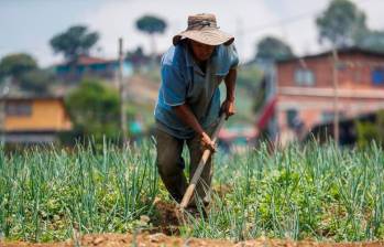 El informe advierte que el Instituto Geográfico Agustín Codazzi –encargado de realizar un catastro multipropósito que dé cuenta del uso y vocación del suelo–, sufre una reducción del 36 % en inversión, lo que se traduce en $348.000 millones menos. FOTO: MANUEL SALDARRIAGA