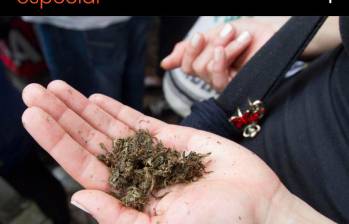 Consumo y comercialización del cannabis: a dos debates de ser ley