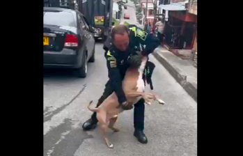 En el video se ve cómo el policía forcejea con el animal sin lograr quitárselo de encima, hasta que su compañero pide autorización para dispararle. IMAGEN TOMADA DE VIDEO