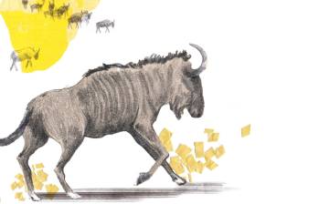 Ilustración de un ñus. Laura Ospina.
