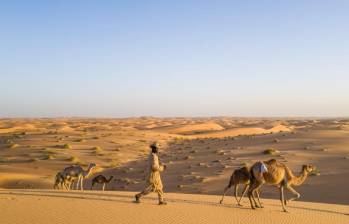 Hubo presencia de lluvias en el desierto del Sahara, en África. Foto: GETTY