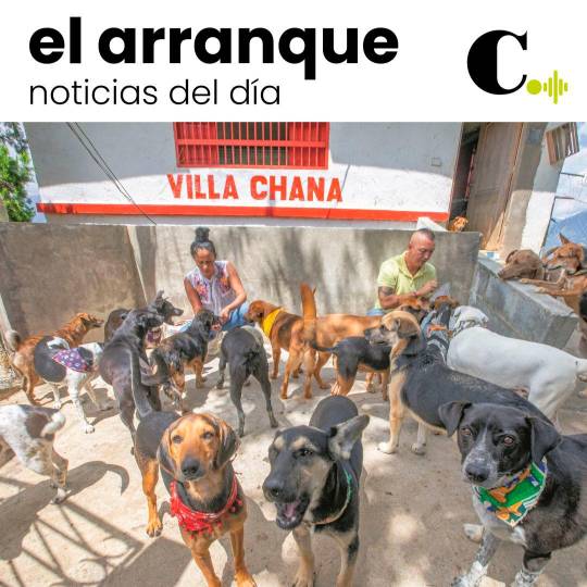 Tras muerte de animalista, buscan hogar a 27 perros