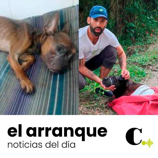 No paran los casos de crueldad contra los animales en el Valle de Aburrá
