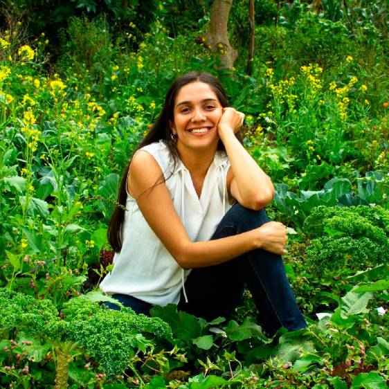 Naturaleza que resiste en la ciudad