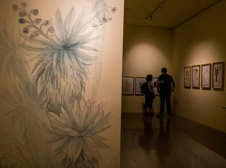 La exposición se ve en la sala Historias para Repensar del Museo de Antioquia. Foto: Julio César Herrera.