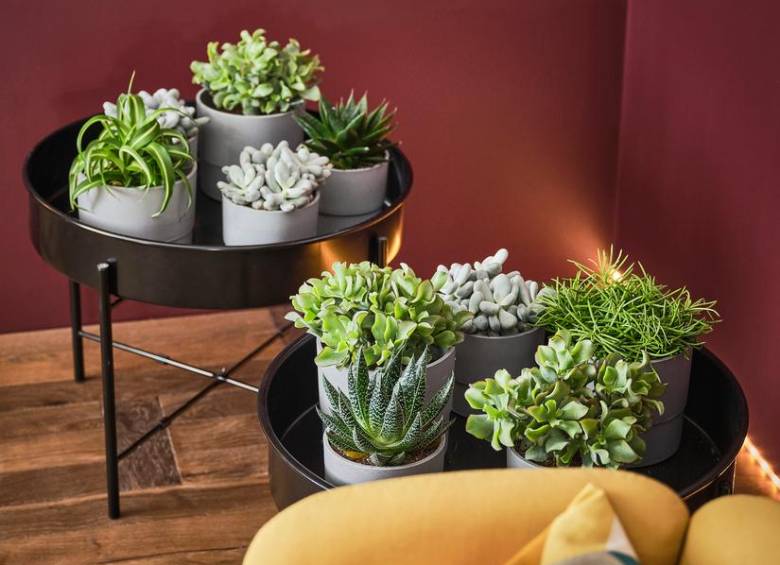 NYPON Matera Para Interior/exterior gris, 15 cm $19.990Parece una matera de cemento, pero está hecha con al menos un 50% de plástico reciclado. Por eso es tan ligera y fácil de mover cuando le apetezca decorar su espacio exterior o interior. Además, le resultará muy fácil apilarla para guardarla.www.IKEA.com.coIG: IKEAColombia*Contenido en colaboración con IKEA