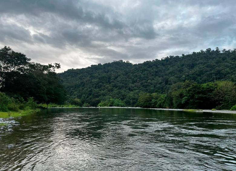 El río Mandé es también el proveedor de la pesca y de los mineros ancestrales que trabajan con bateas en la extracción de oro. FOTO yadira rosa vidal
