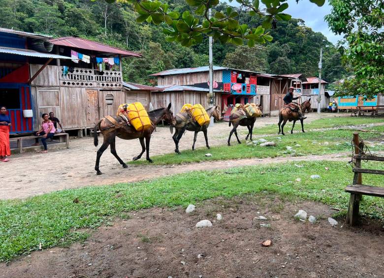 Mandé: la comunidad negra de Urrao que después de la guerra se resiste al olvido