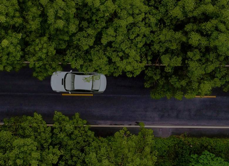 Para la conversión a GNV se instalan piezas electrónicas y mecánicas que permiten sustituir el tipo de combustible que se inyecta en el motor.