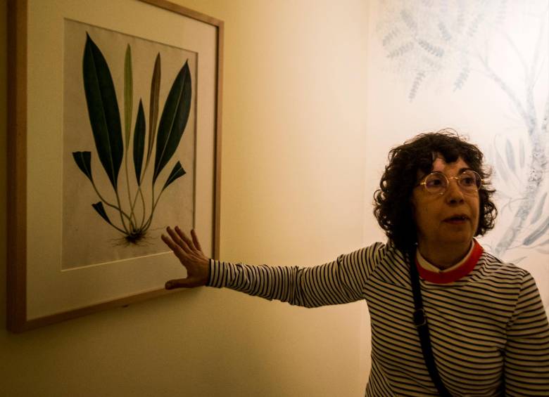 La curadora Esther García Guillén explicando uno de los dibujos de la exposición. Foto: Julio César Herrera