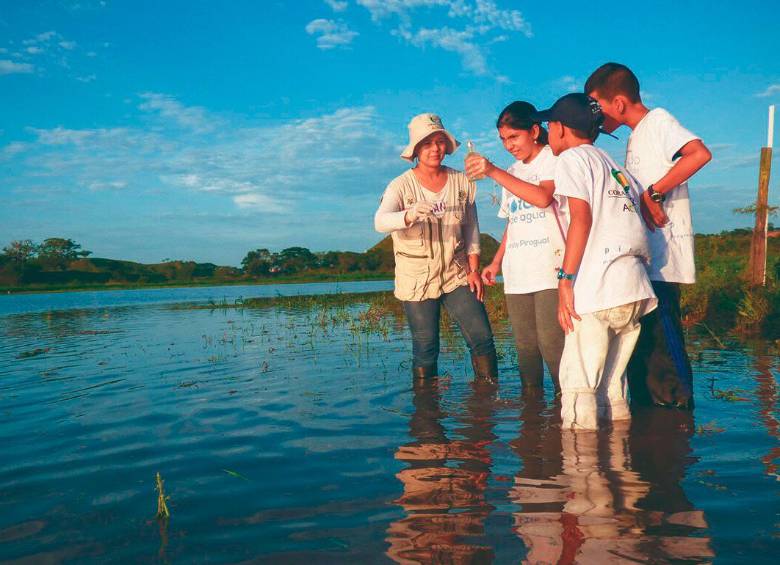 El agua, eje articulador de la estrategia ambiental de Corantioquia. FOTO: CORTESÍA