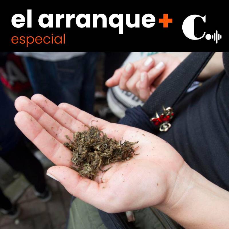 Consumo y comercialización del cannabis: a dos debates de ser ley