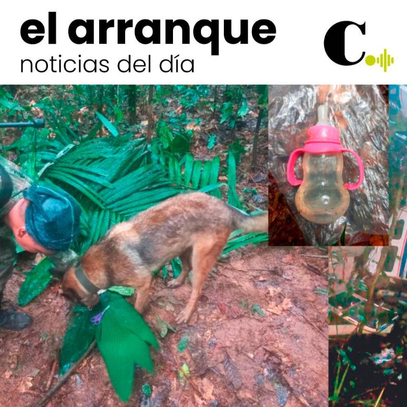 Huellas en la selva dan esperanza en búsqueda