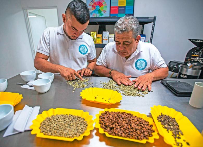 250 familias del Occidente antioqueño crearon una asociación y ahora exportan café de origen a China 